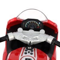 Globo Ducati 1299 Panigale R 12V