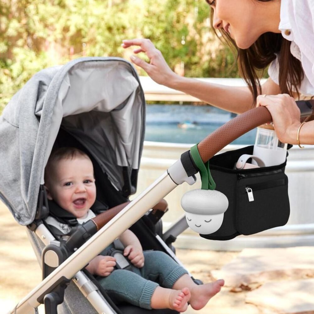 Skip Hop Organizer per Passeggino