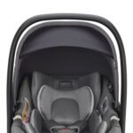 Inglesina Ovetto Darwin Infant I-Size