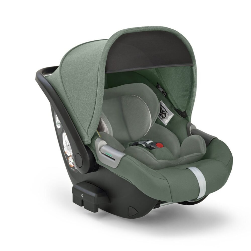 Inglesina Ovetto Darwin Murray Green